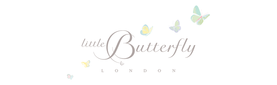 Little Butterfly Logo